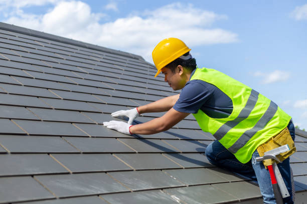 Best Gutter Installation and Roofing  in Lyndhurst, OH