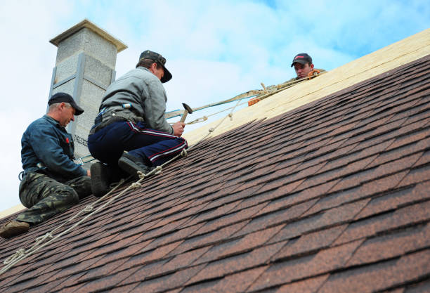 Best Tile Roofing Contractor  in Lyndhurst, OH